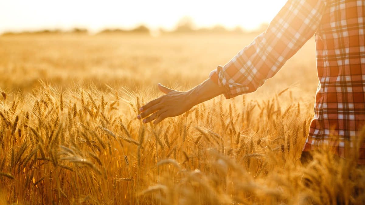 Blog - Rural Knowledge Transfer