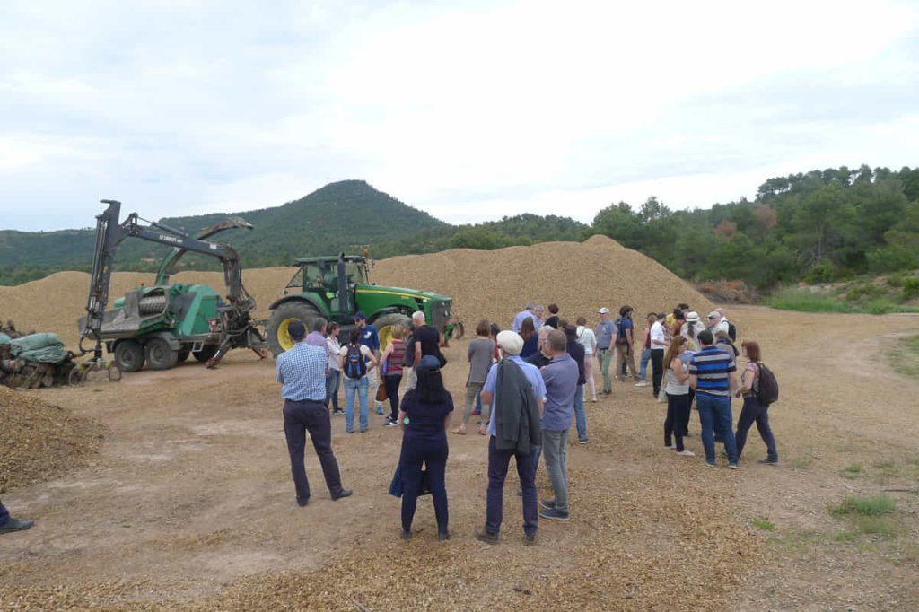 Extensión Agraria